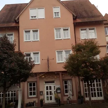 Loewensteiner Hof Haus Am Neuplatz فيرتهايم